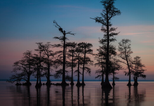 North Carolina